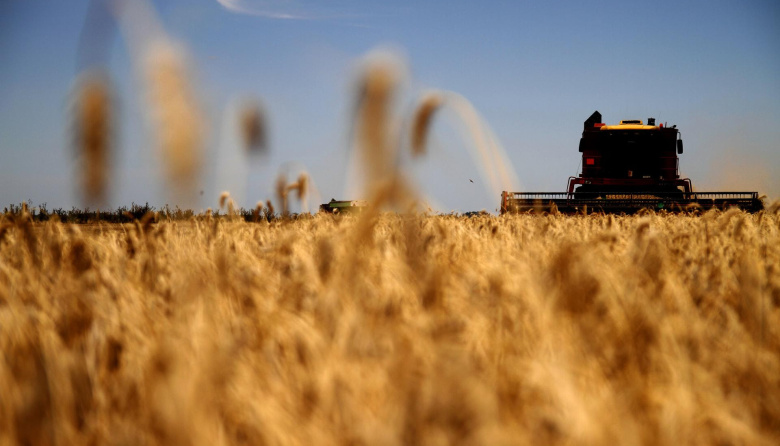 Enero 2026: Nuevo récord de la década en exportaciones agroindustriales