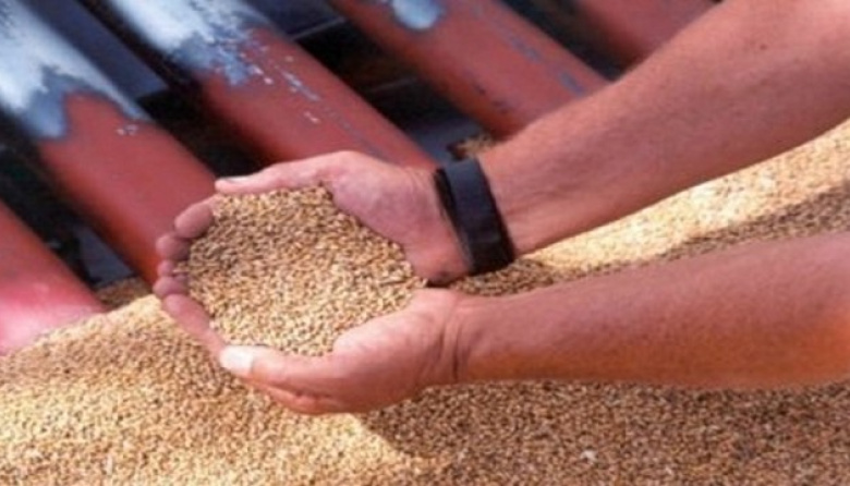 Milei prometió seguir bajando retenciones y enviar una nueva Ley de Semillas al Congreso