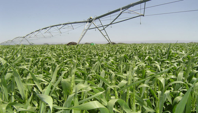 El RIMI marca nuevas oportunidades para las Inversiones Agroindustriales