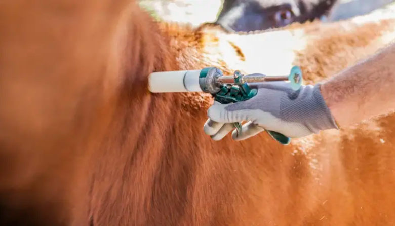 El Senasa aprobó el registro de nueva vacuna