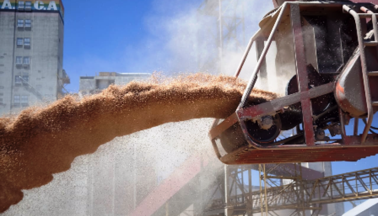 El agro argentino exportó USD 50.549 millones en 2025, un 9,3% más que el año anterior