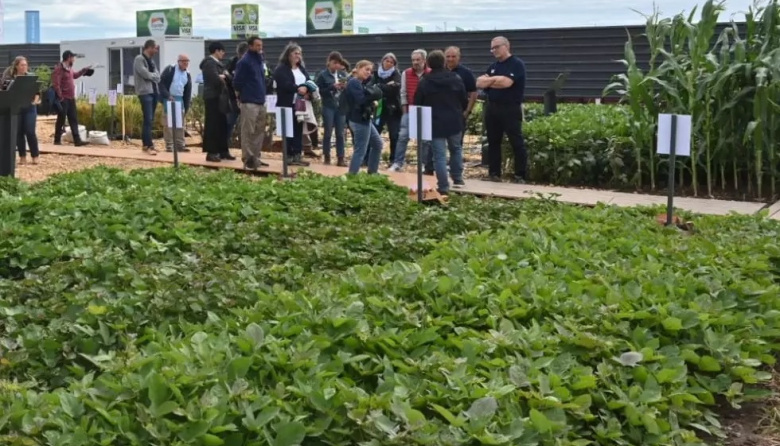 El INTA muestra innovación, genética y tecnología en Expoagro