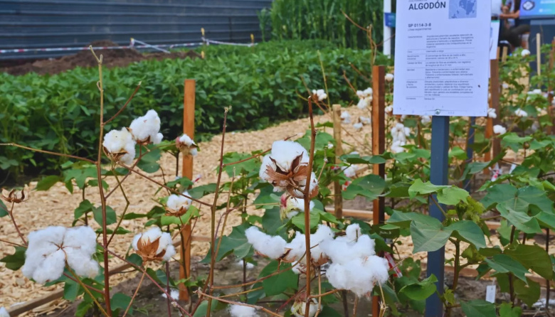 Arrancó Expoagro y el INTA despliega su apuesta tecnológica