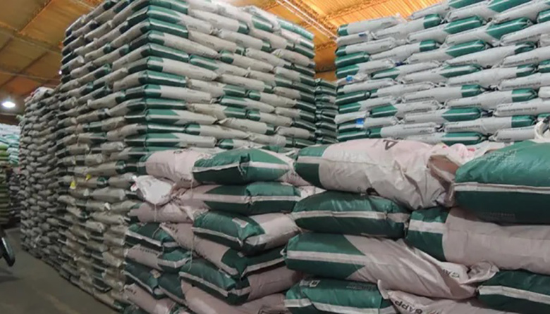 Desregulación semillera: Adelantan importantes novedades al sector