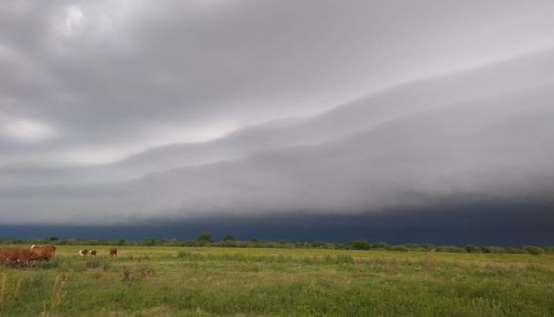 Se reactivó el movimiento de compra de campos en la región núcleo