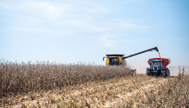 La cosecha de maíz está en rindes promedio de 86 y 98 qq/ha