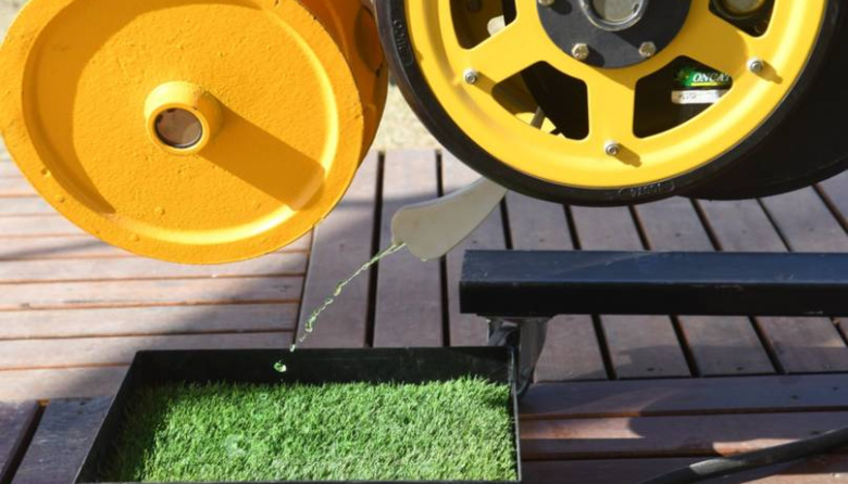 El sudoeste bonaerense y la IA: ¿cómo se trabaja para obtener los mejores cultivos?