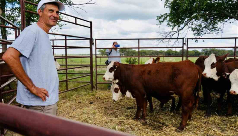 Cómo son las prácticas ganaderas innovadoras en La Pampa que ya regeneran suelos y pastizales