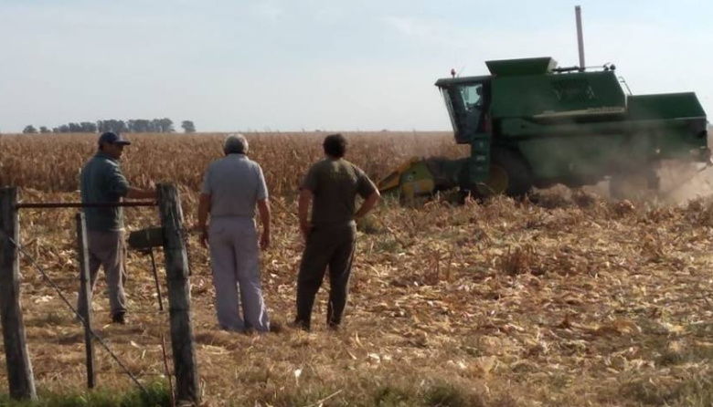 Los salarios rurales tendrán un aumento segmentado de hasta 9,2% hasta mayo