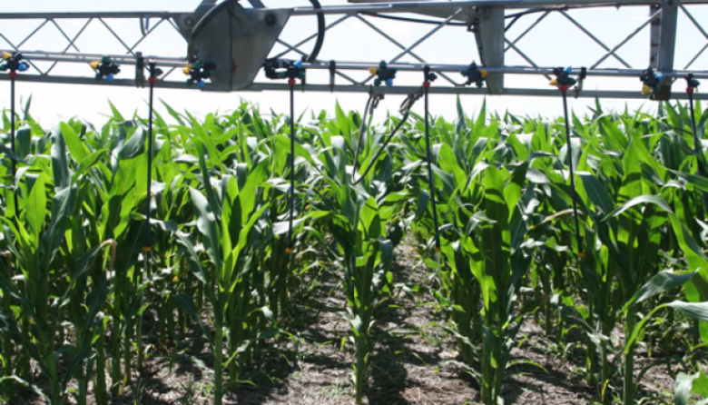 Por el conflicto de Medio Oriente los fertilizantes aumentaron 40%