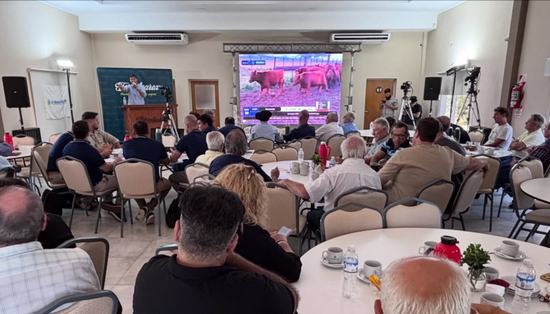 Análisis del remate en Darreguiera 🐂