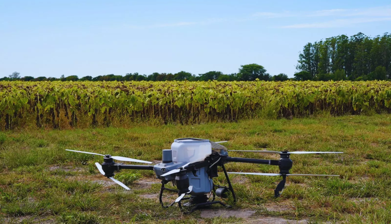 Con drones y algoritmos, reducen a más de la mitad el uso de nitrógeno