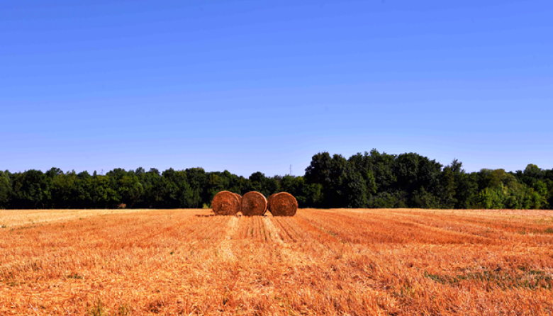 El Índice de Confianza del Empresario Agropecuario consolida su recuperación