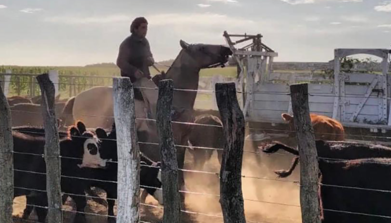 ¿“Hombre de campo” o empresario digital? El nuevo rol del productor agropecuario