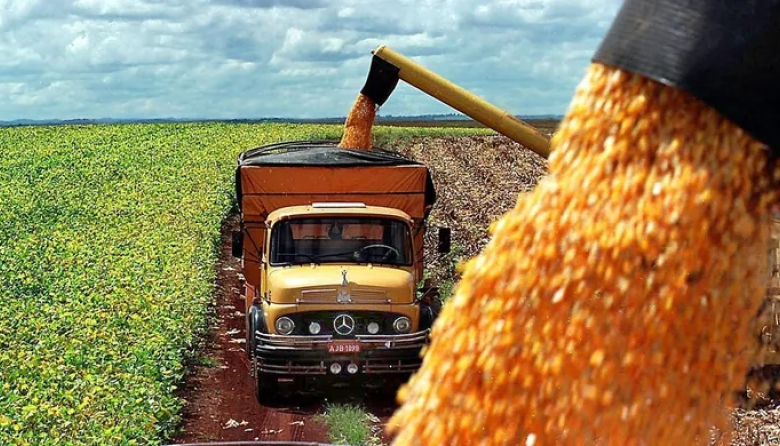 Anuncian la primera exportación en la historia de maíz argentino a China