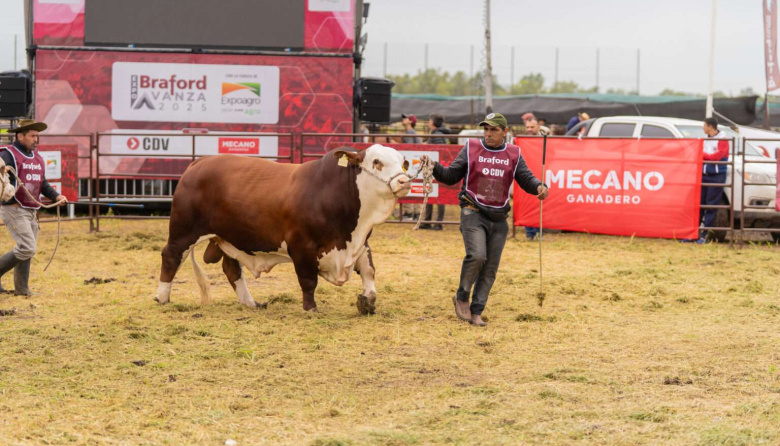 El boom ganadero motoriza inversiones: 82% de los productores cree que es buen momento para realizarlas