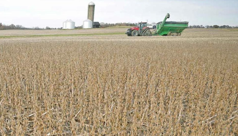 El desafío del agro argentino: cómo la innovación tecnológica emerge para cerrar la brecha histórica con Brasil