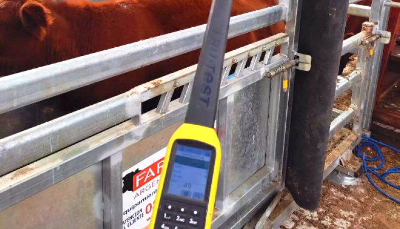 La identificación individual electrónica redefine la toma de decisiones