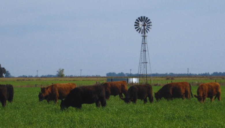 El INTA impulsa una jornada para posicionar la carne de sistemas pastoriles en el mercado