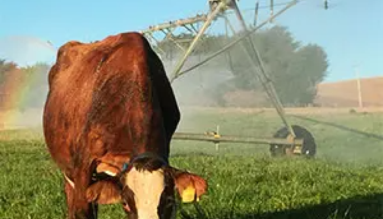 Rebajan a 10,5% el IVA para las tarifas de riego agroindustrial