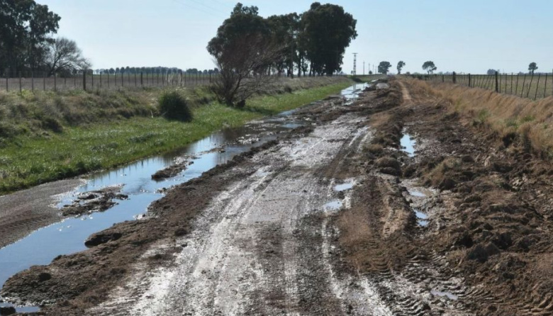 Grave situación en el sur de la provincia de Buenos Aires por el mal estado de los caminos rurales