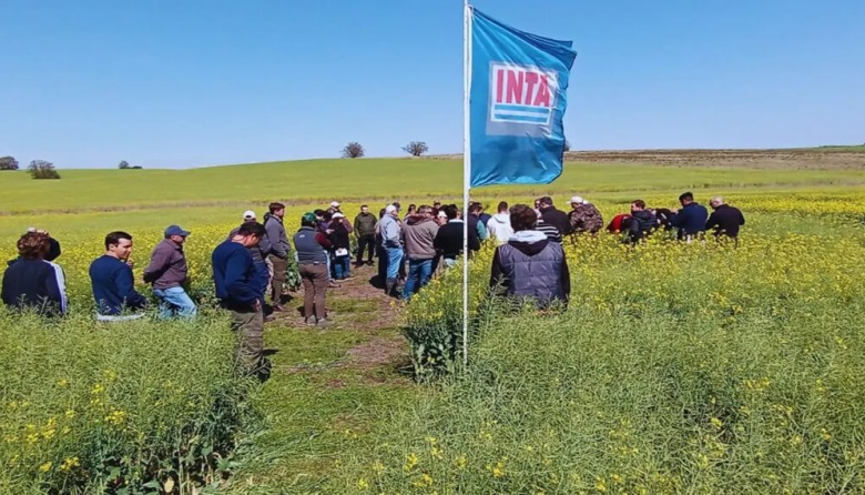 Provincia de Buenos Aires pidió el traspaso de tierras del Inta para destinarlas a investigación