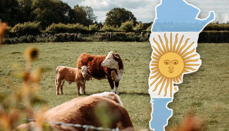Ganadería argentina: “La dopamina está por las nubes” y crecen las expectativas por el boom del sector cárnico