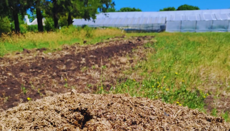 Optimizan el compostaje para uso agronómico