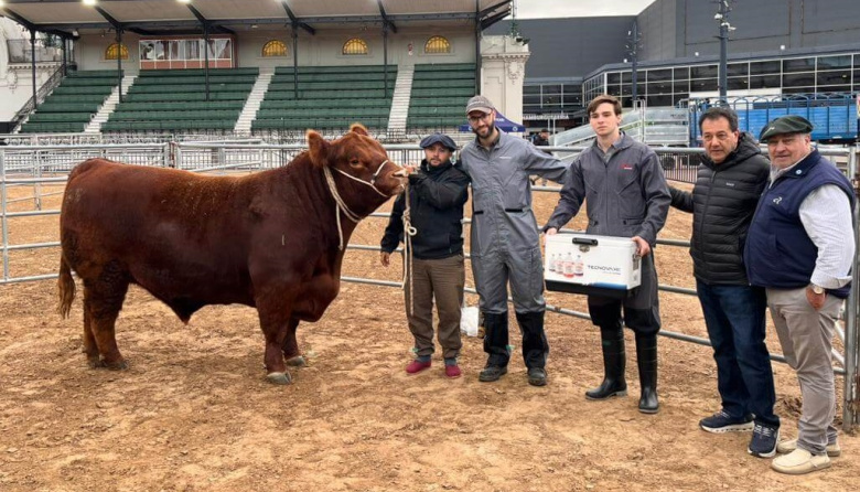 “Paulino” abrió la pista y los Angus ya viven su fiesta de otoño en Palermo, con récord de inscriptos