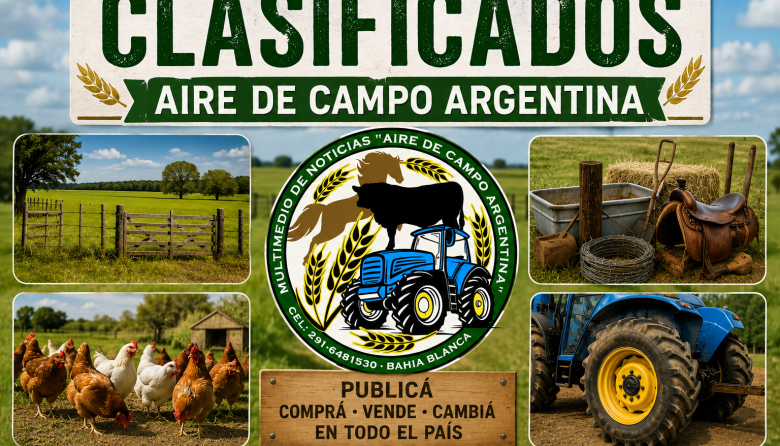 PRESENTAMOS LOS CLASIFICADOS DE AIRE DE CAMPO ARGENTINA