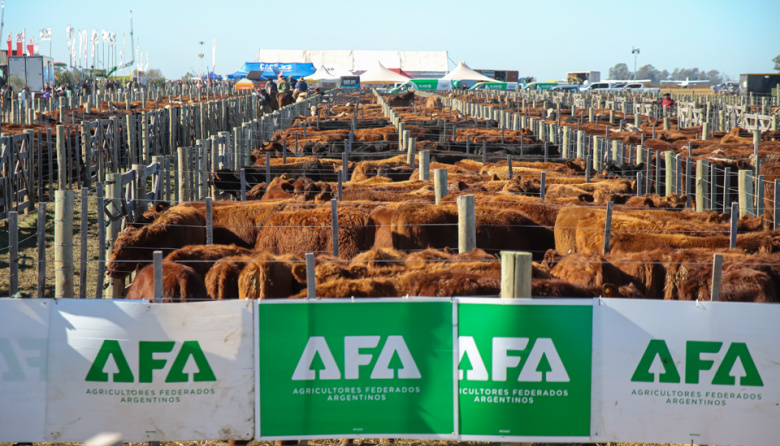 Agroactiva ganadera 2026: genética de elite, lechería histórica y el escenario más grande del año para el sector pecuario argentino