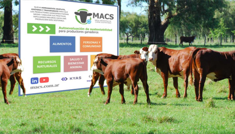Lanzarán el sello de Certificación de Carne Sustentable Argentina (MACS)