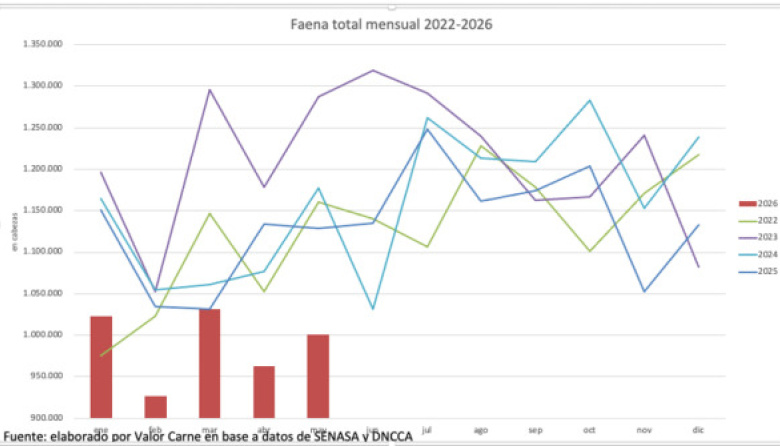Faena argentina: sigue la tendencia a la baja, aunque se atenuó en mayo