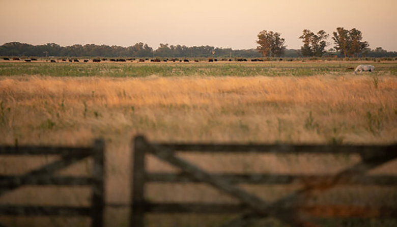 Un proyecto de ley busca destinar el 65% del impuesto inmobiliario rural bonaerense a la mejora de caminos