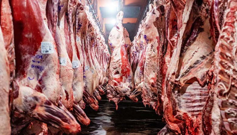 Creció un 369% la venta de carne argentina hacia Estados Unidos y alcanzó un desempeño histórico