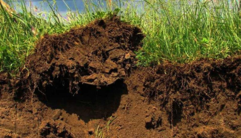El INTA deja recomendaciones para disminuir el impacto en los recursos por las lluvias en zonas semiáridas