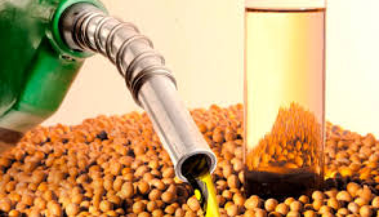 Se actualizó el precio del biodiésel para la mezcla obligatoria con gasoil