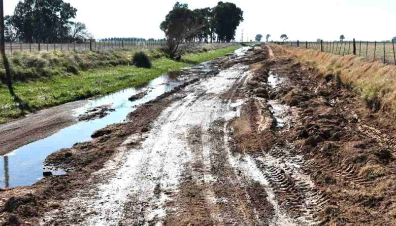 El mal estado de los caminos rurales ya genera pérdidas económicas para siete de cada diez productores