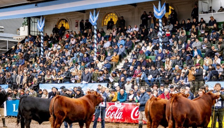 Angus vuelve a ser la raza más convocante de la Exposición Rural de Palermo 2026