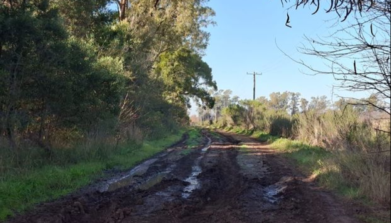 8 de cada 10 caminos rurales están en mal estado y el 68% de los productores sufre pérdidas económicas por esta situación