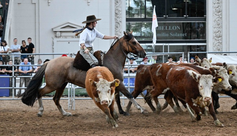 El Caballo Criollo crece por el deporte, suma criadores y busca conquistar nuevos mercados