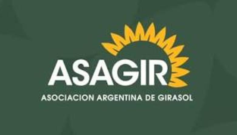 El girasol consolida un crecimiento récord global y el complejo argentino duplica sus exportaciones con molienda histórica