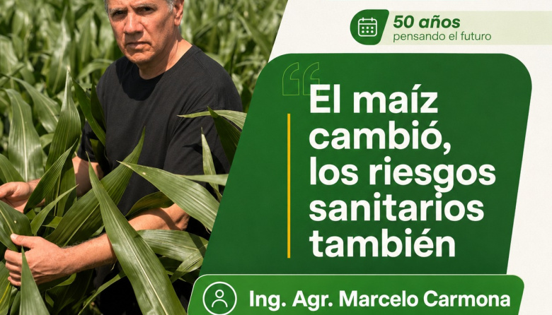 El maíz cambió. Los riesgos sanitarios también.