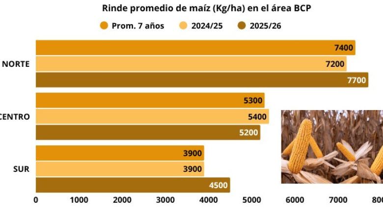 Cierre siembra fina 2026/27