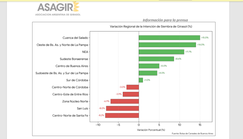 El complejo girasolero profundiza su avance exportador en el primer semestre y la intención de siembra nacional crece un 5,3% con repunte en el valor FOB