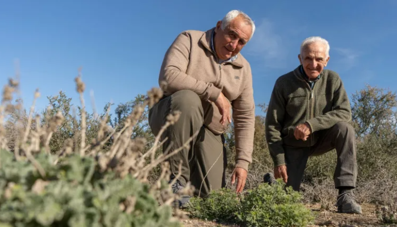 Recibió un campo de 8,4 leguas que «no daba plata», cambió la forma de manejarlo y hoy enfrenta la sequía en el desierto de la Patagonia