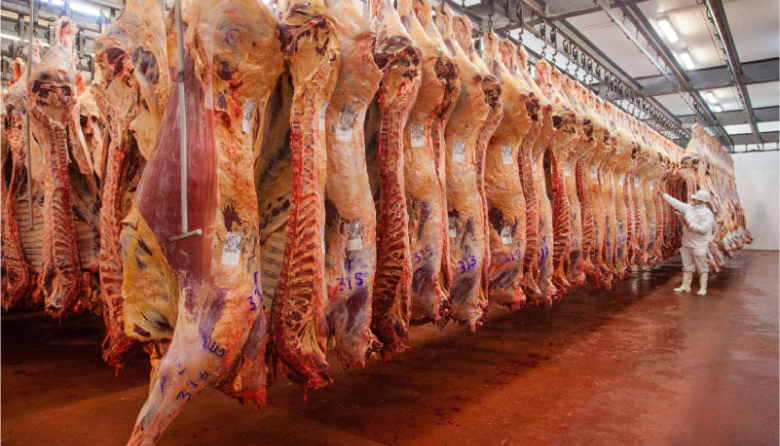Disminuyó la cantidad de animales faenados en julio