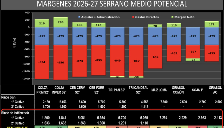 Girasol 2026/27: muy buenos márgenes y claves de manejo para aprovecharlos
