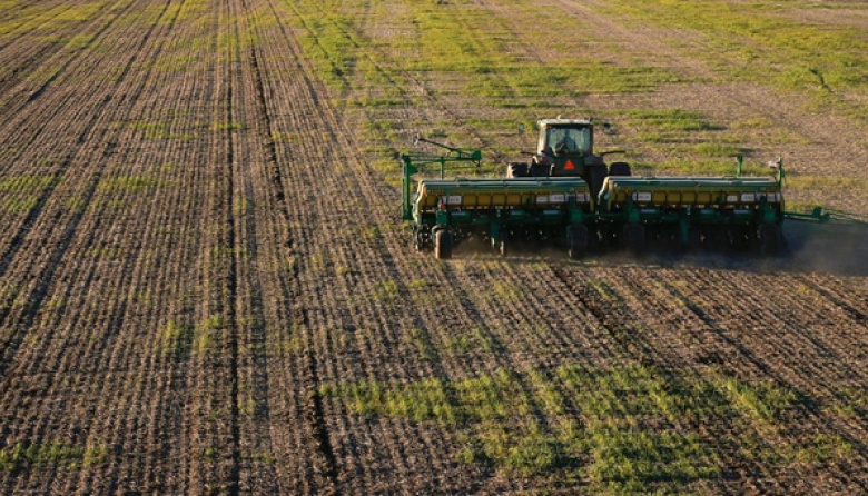 ‘El fin de la siembra de trigo continúa dilatándose’