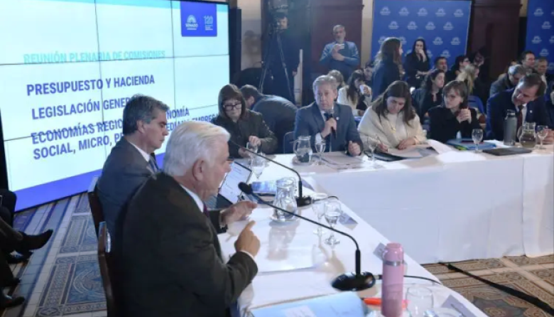 Comenzó en el Senado el debate de un régimen para incentivar inversiones productivas en las economías regionales